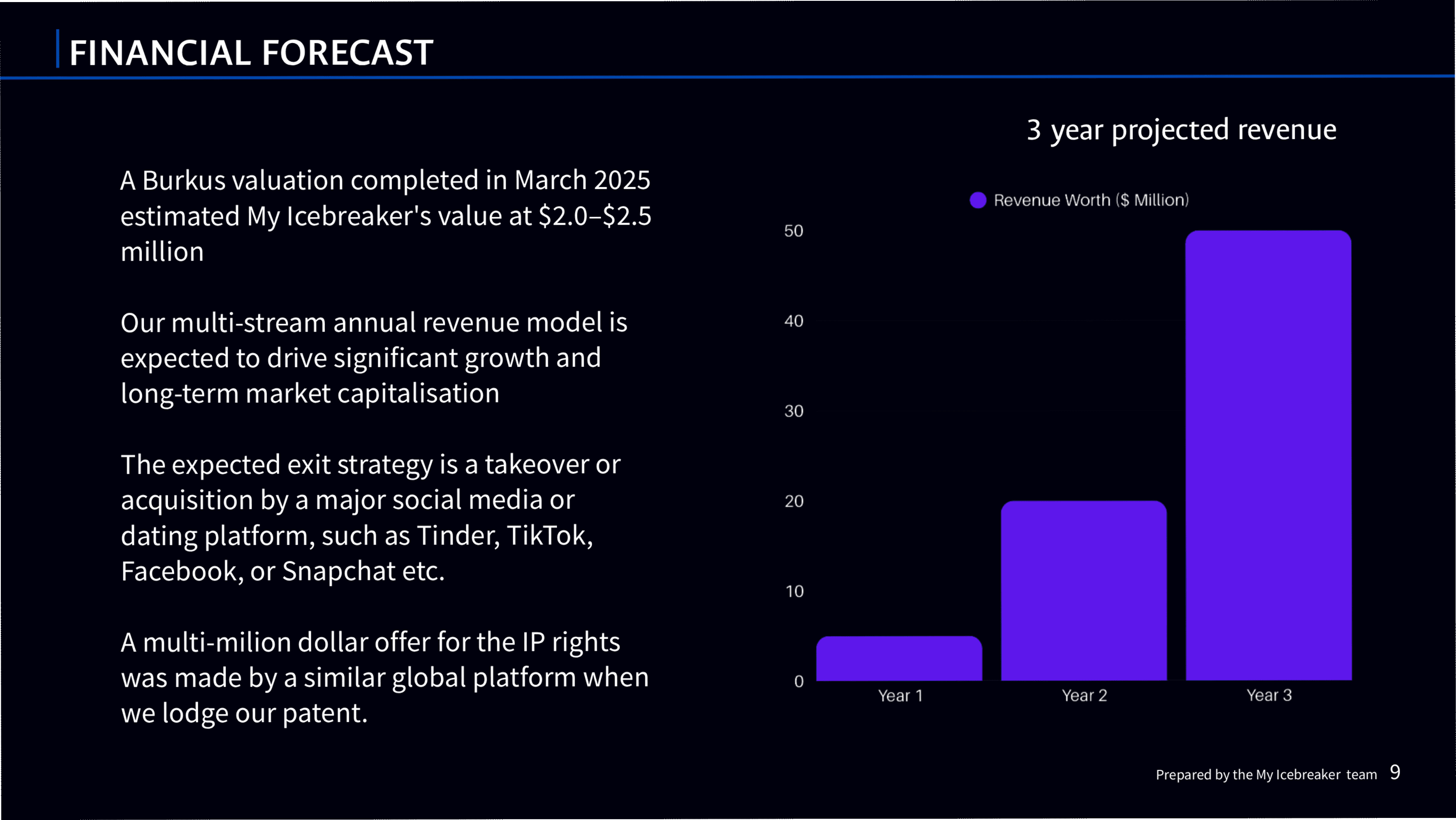 3 Year P&L Forecast